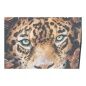 Painting DKD Home Decor 52 x 2,7 x 72 cm Tiger Modern (2 Units)