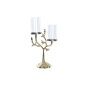 Candle Holder DKD Home Decor Crystal Golden Aluminium Birds (29 x 15 x 48 cm)