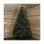 Albero di Natale EDM Pino Verde (210 cm)