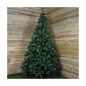 Albero di Natale EDM 680314 Pino