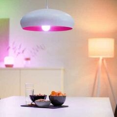 Lampadina Intelligente Ledkia A60 E27