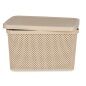 Scatola portaoggetti con coperchio Beige Plastica 19 L 28 x 22 x 39 cm (12 Unità)