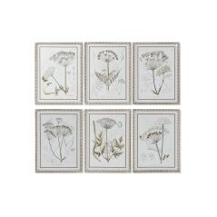 Quadro DKD Home Decor Moderno Piante botaniche 45 x 2,5 x 60 cm (6 Unità)