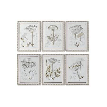 Painting DKD Home Decor Modern Botanical plants 45 x 2,5 x 60 cm (6 Units)