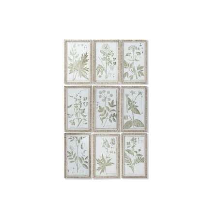 Quadro DKD Home Decor Cottage Piante botaniche 30 x 2 x 50 cm (9 Unità)