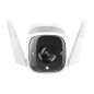 Videocamera di Sorveglianza TP-Link TC65