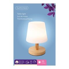 Lampada LED da Tavolo Lumineo 894386 Metallo 22 cm Ricaricabile