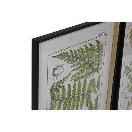 Painting Home ESPRIT Modern Fern 50 x 2,5 x 65 cm (6 Units)