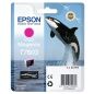 Original Ink Cartridge Epson C13T76034N10 Multicolour Magenta