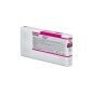 Cartuccia ad Inchiostro Originale Epson T9133 Magenta