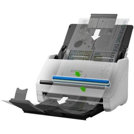 Scanner Epson B11B261401 