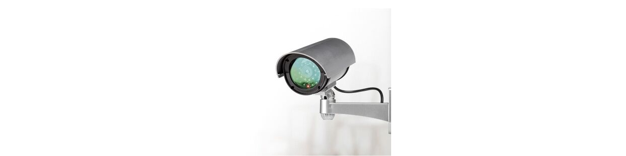 Surveillance video cameras